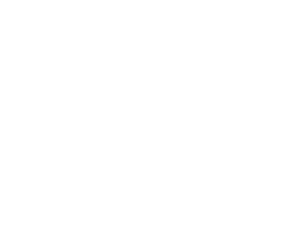 Logo_MarathonAnnecy_Brooks_BLANC